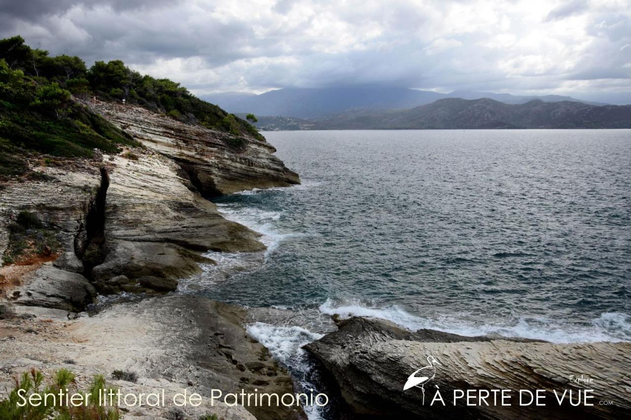 Chambre D'Hotes A 5Mn Des Plages Patrimonio Dış mekan fotoğraf