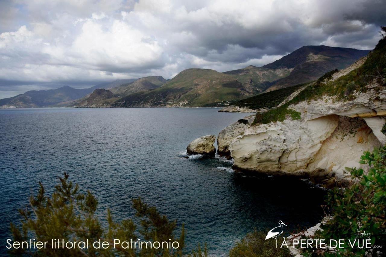 Chambre D'Hotes A 5Mn Des Plages Patrimonio Dış mekan fotoğraf