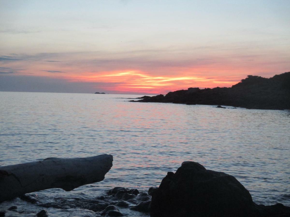 Chambre D'Hotes A 5Mn Des Plages Patrimonio Dış mekan fotoğraf